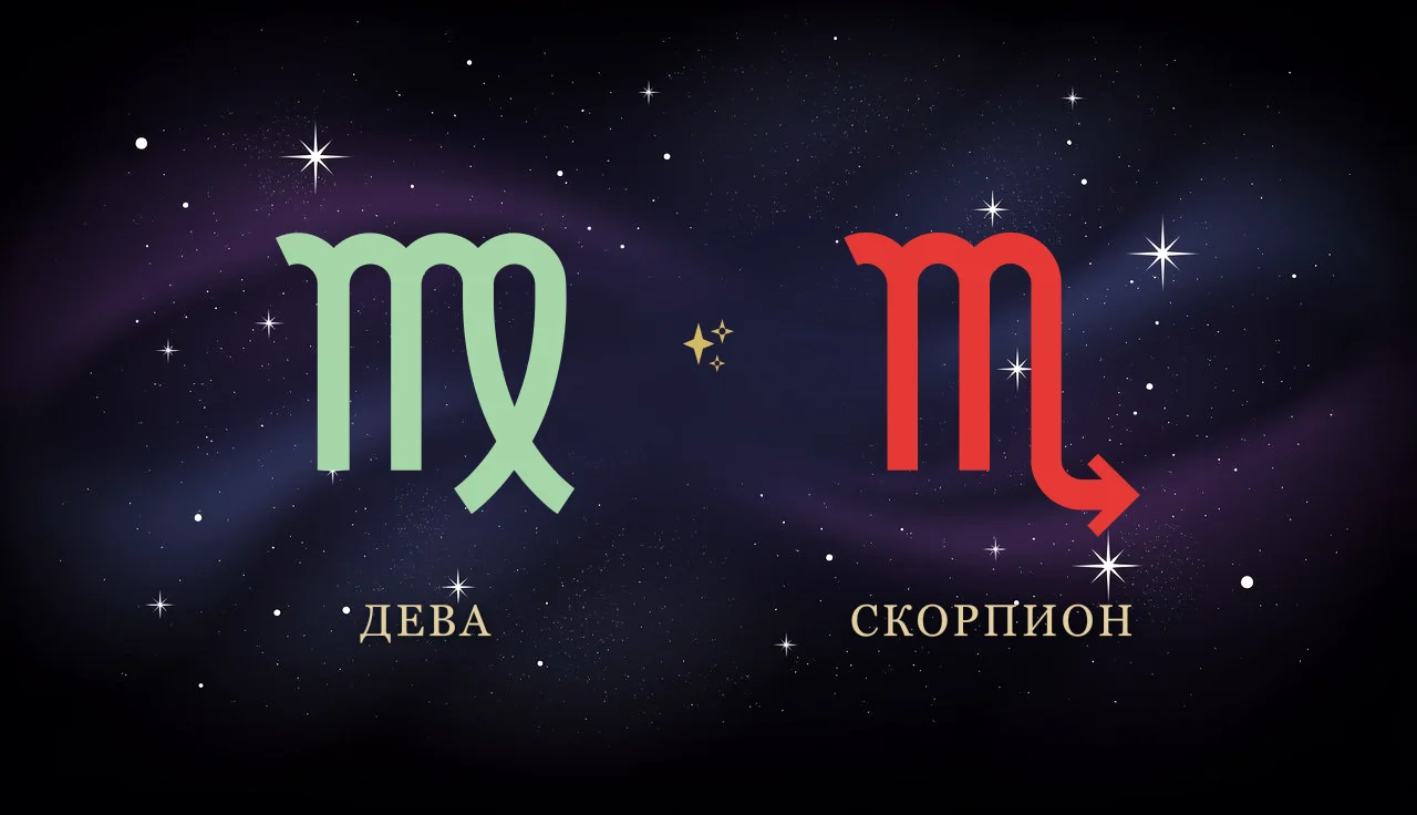 Совместимость Девы и Скорпиона в любви
