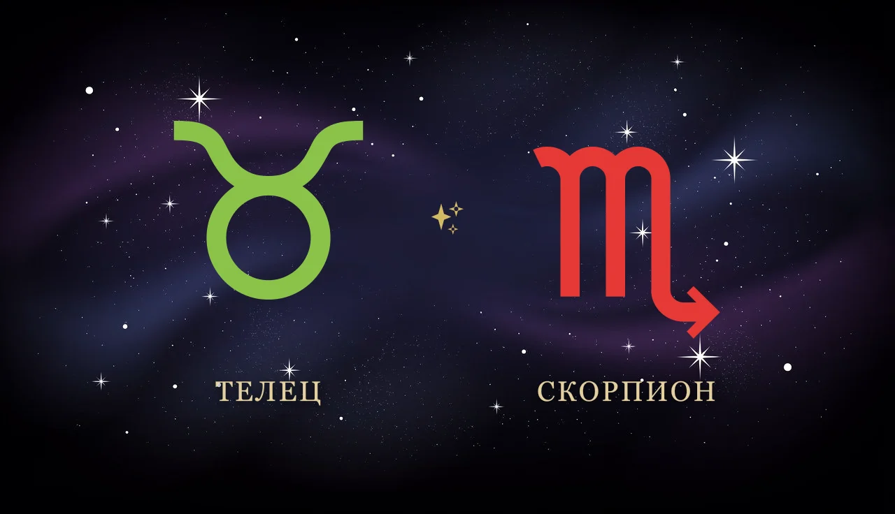 Совместимость Тельца и Скорпиона в любви